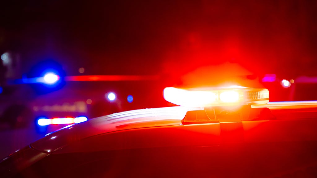 Driver killed in head-on collision with semi in central Minnesota — Moorhead Sports news