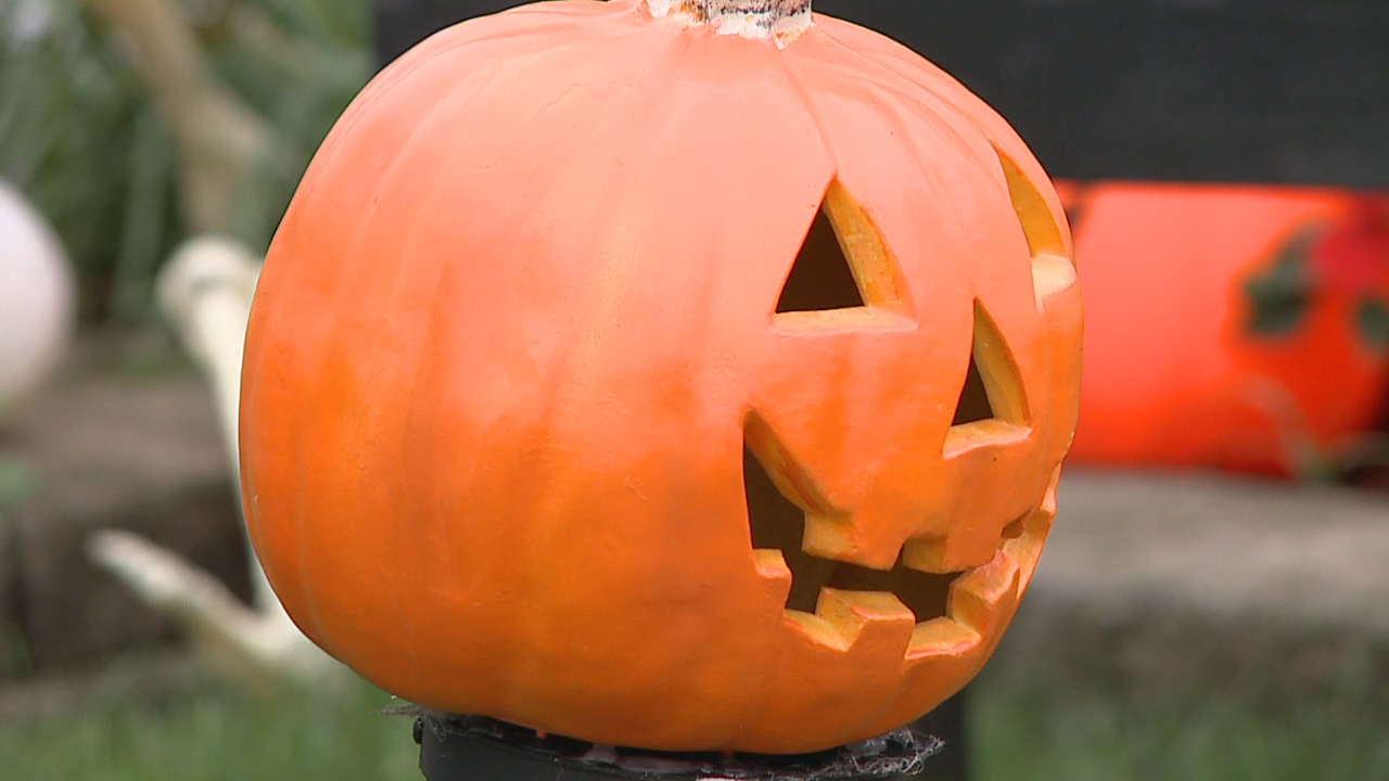 Things to do in Minnesota: 5 things to do this weekend (Oct. 30–Nov. 1) — Moorhead Community news
